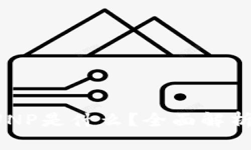 小狐钱包CUNP是什么？全面解析与使用指南