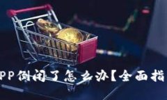 比特币钱包APP倒闭了怎么办？全面指南与解决方