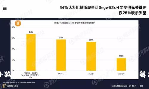 解决小狐钱包无法安装的问题：步骤详解与常见解决方案