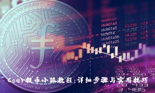 Coer提币小狐教程：详细步骤与实用技巧