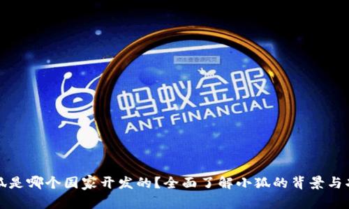小狐是哪个国家开发的？全面了解小狐的背景与功能