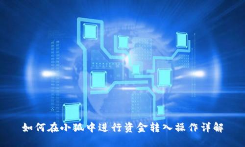 如何在小狐中进行资金转入操作详解